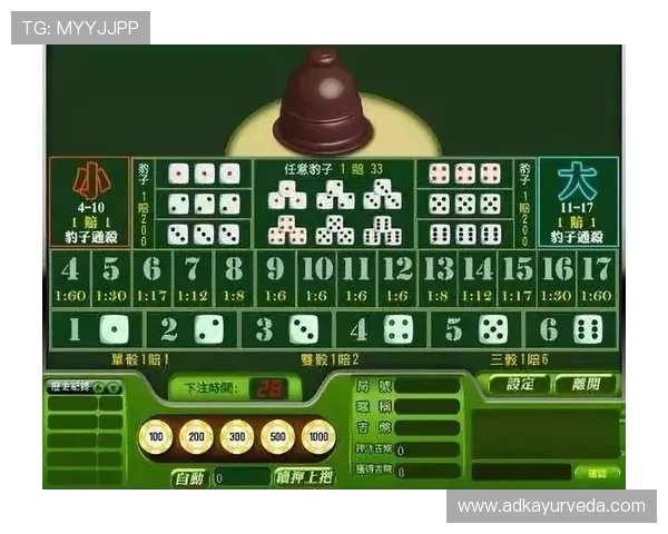 专业玩家分享百家乐技巧打法的高级技巧，提升您的获胜概率与技巧水平